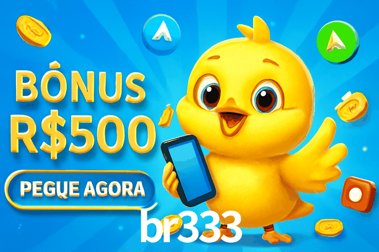 Flash Promotion br333